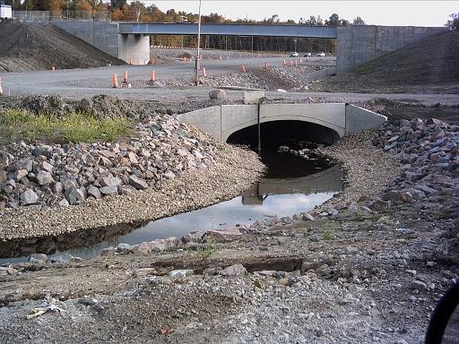 1er ponceau, ch. Scotch